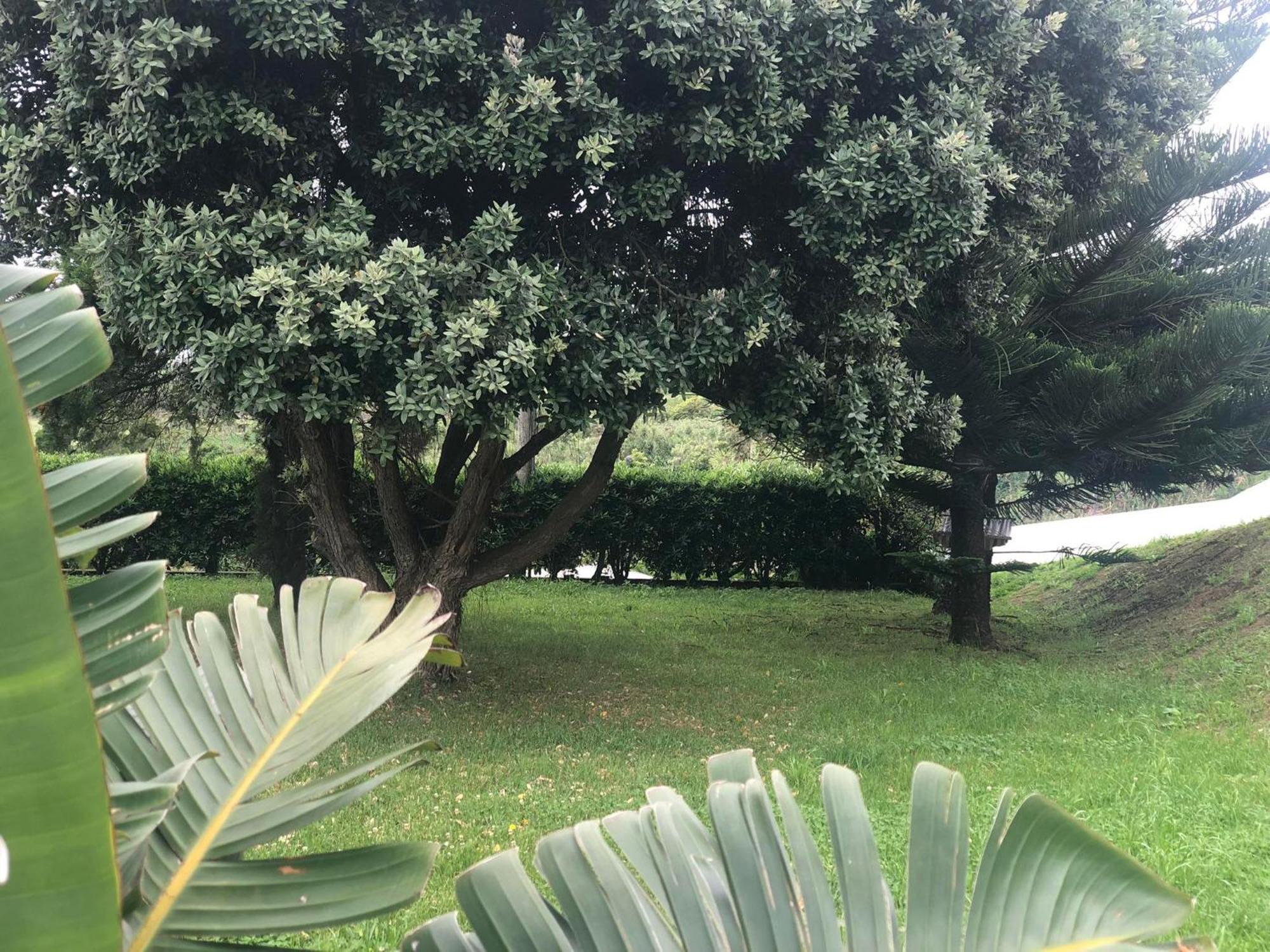 Vivenda Flor Villa Ponta Delgada  Bagian luar foto
