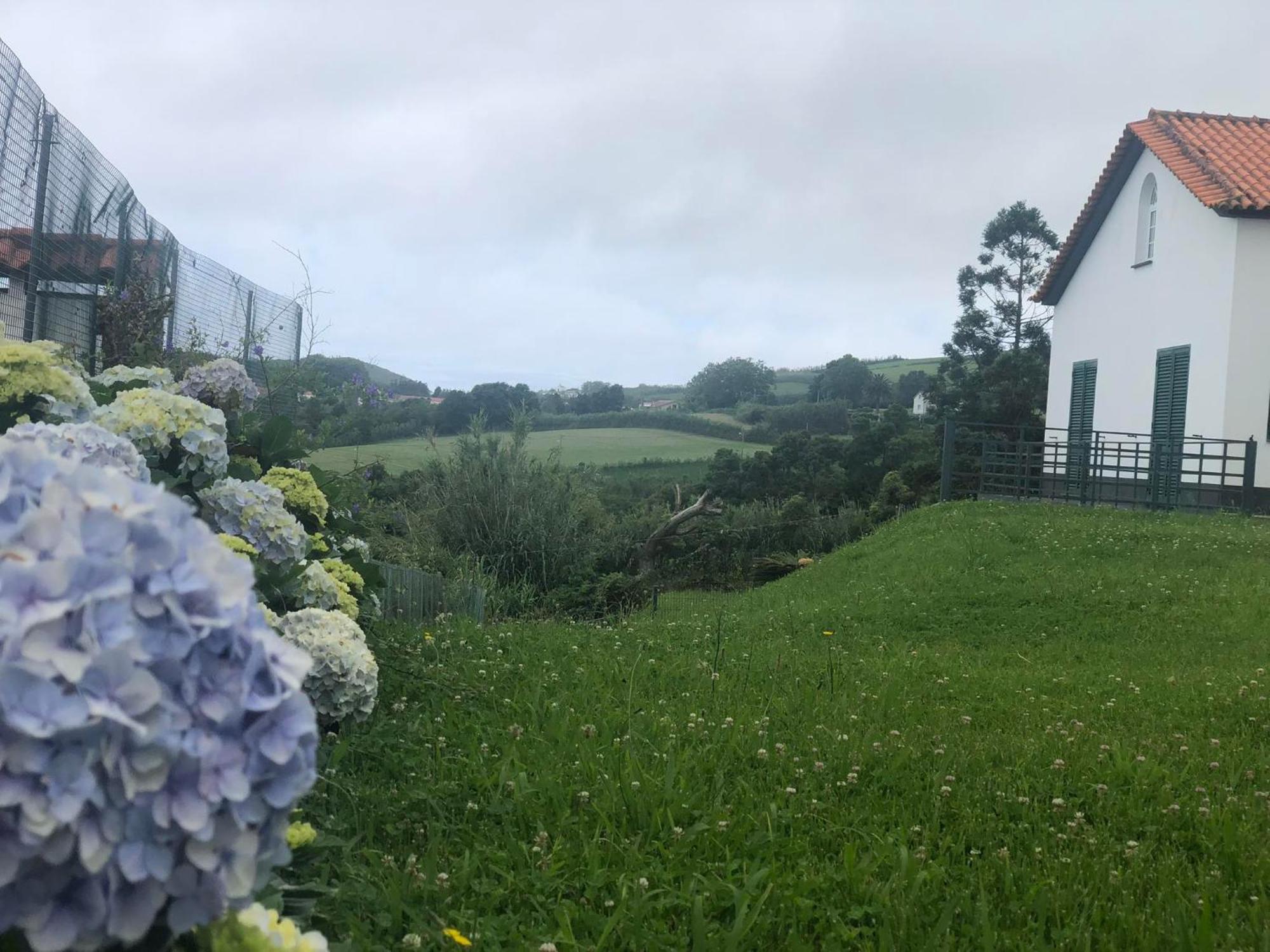 Vivenda Flor Villa Ponta Delgada  Bagian luar foto