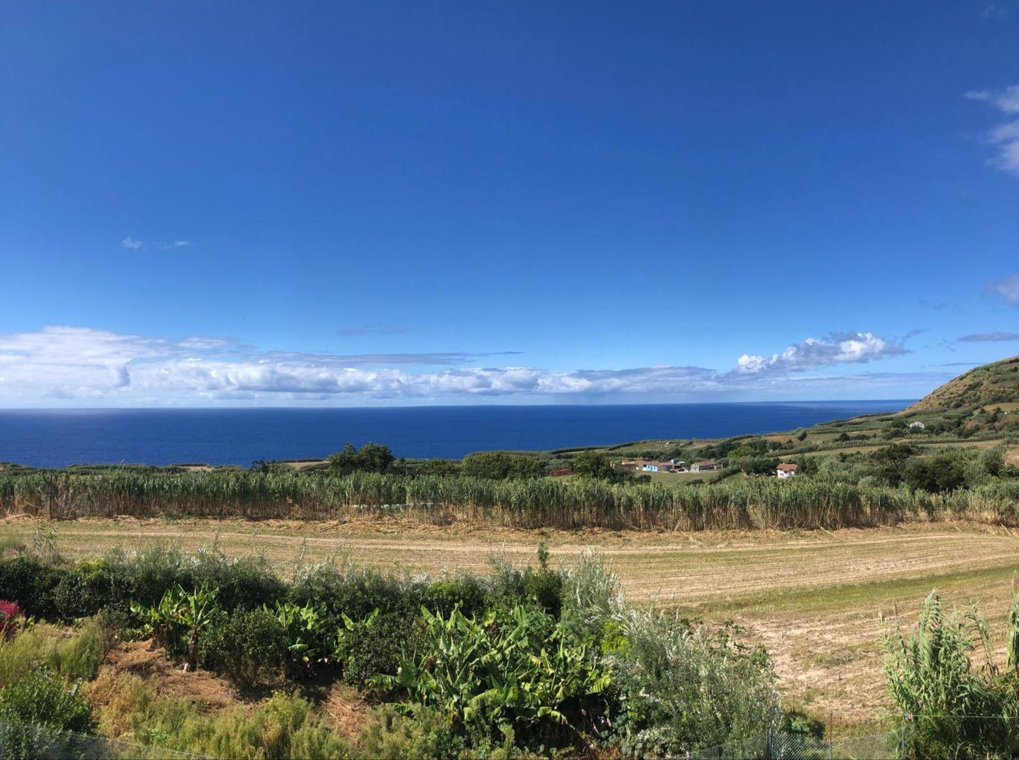 Vivenda Flor Villa Ponta Delgada  Bagian luar foto